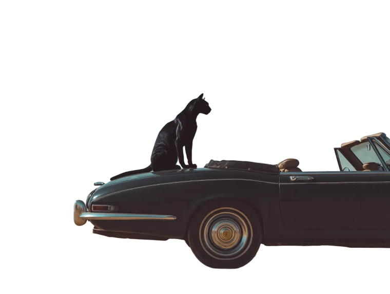 Black Puma On Car Vinyl Car Decal Sticker – Waterproof & UV-Resistant 6.1866666666666665"