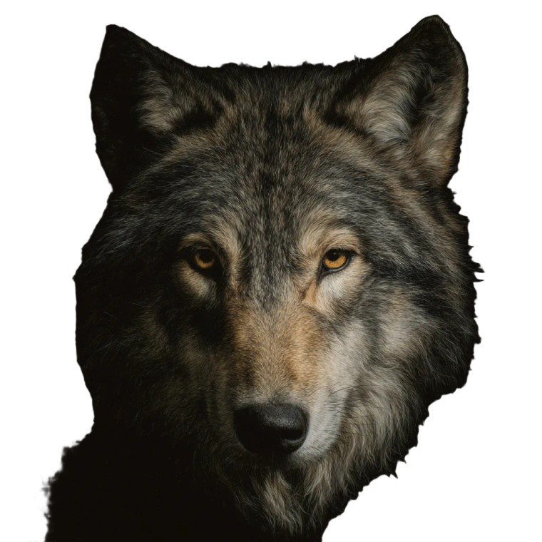 Wolf Face V2 Vinyl Car Decal Sticker – Waterproof & UV-Resistant 3.4133333333333336"