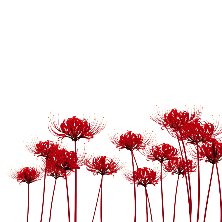 Red Spider Lilies V2 Vinyl Car Decal Sticker – Waterproof & UV-Resistant 3.4133333333333336"