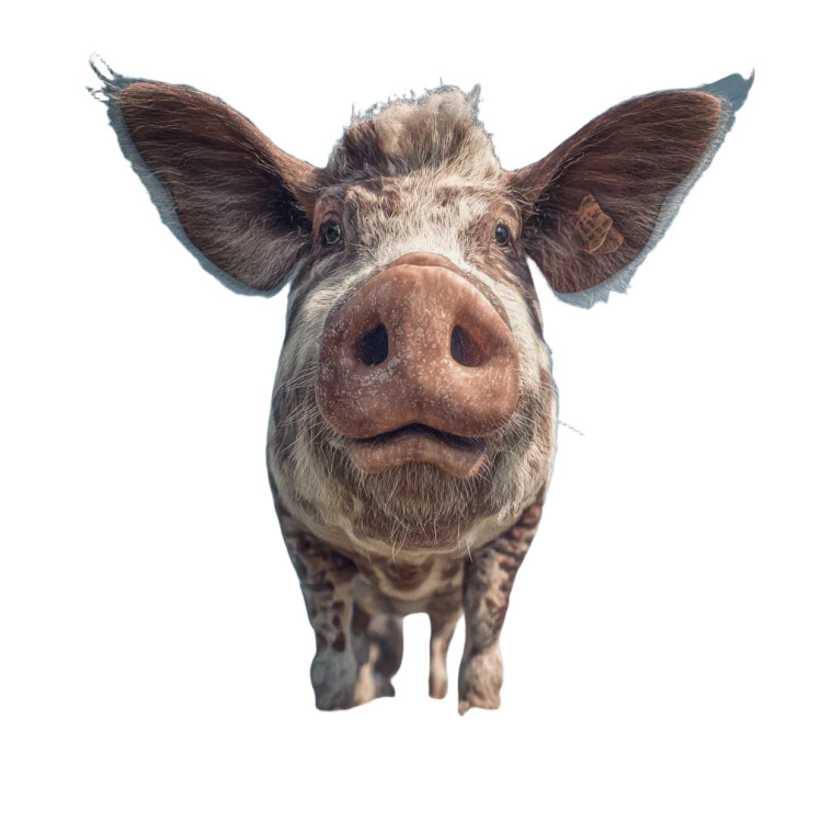 Fantasy Farm Animal Vinyl Car Decal Sticker – Waterproof & UV-Resistant 3.4133333333333336"