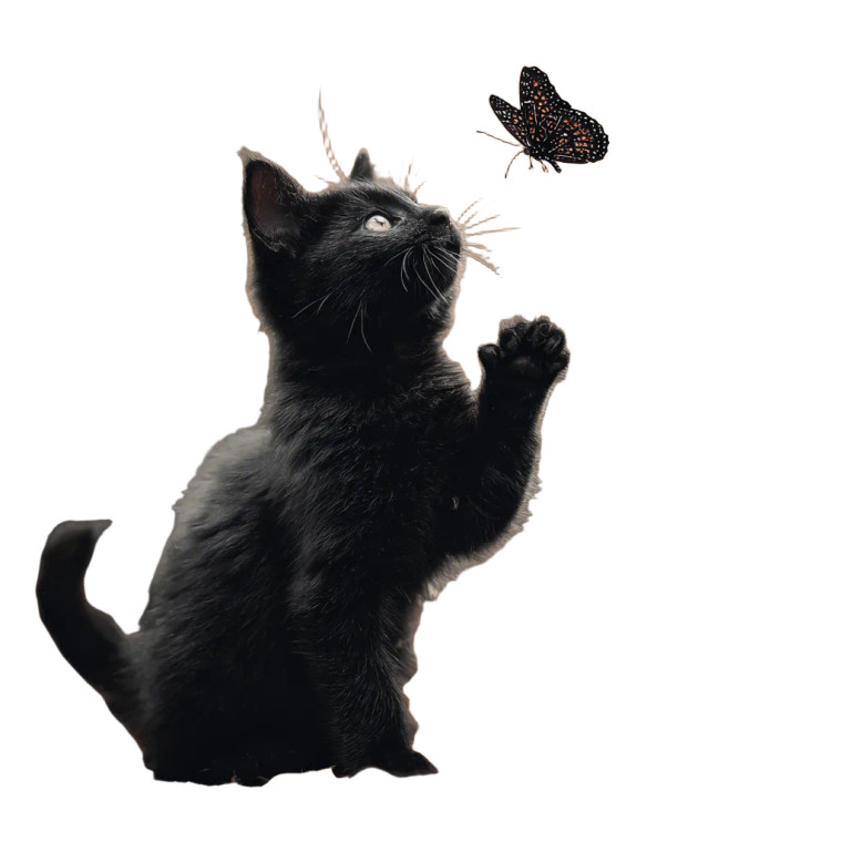Cat Chasing Butterfly Vinyl Car Decal Sticker – Waterproof & UV-Resistant 3.4133333333333336"