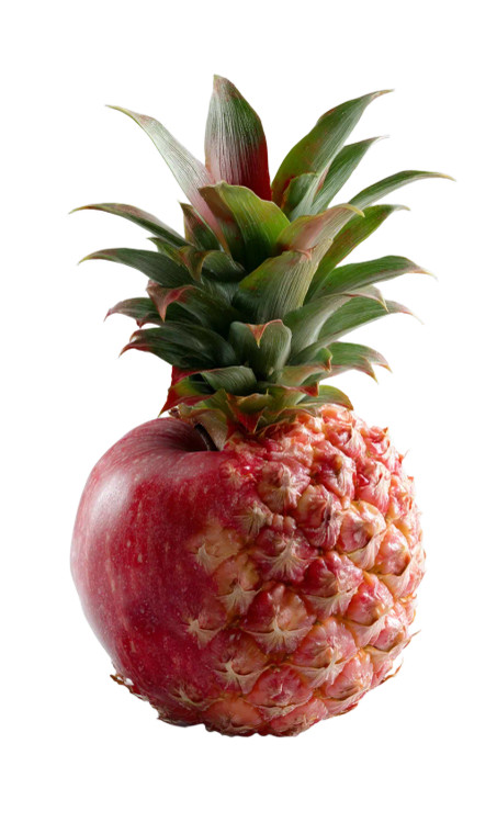 Pineapple Apple Vinyl Car Decal Sticker – Waterproof & UV-Resistant 4.746666666666667"