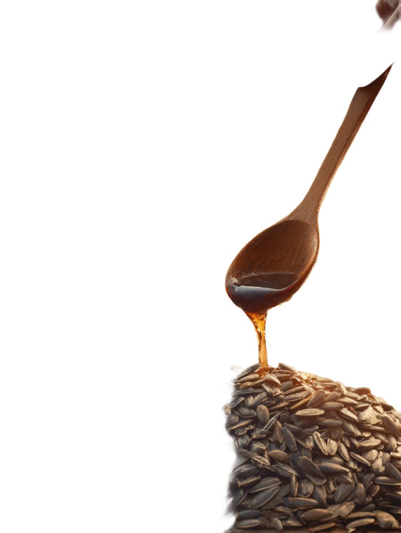 Giraffe With Sunflower Seeds Vinyl Car Decal Sticker – Waterproof & UV-Resistant 4.1066666666666665"