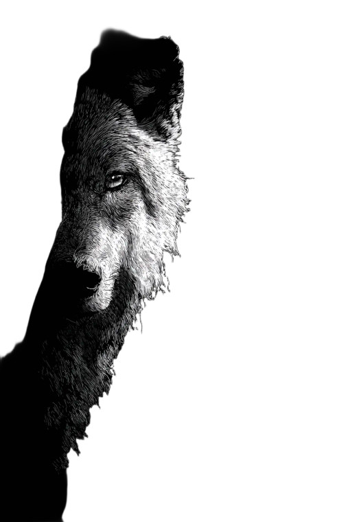 Mysterious Wolf V2 Vinyl Car Decal Sticker – Waterproof & UV-Resistant 8.96"