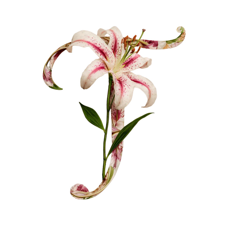 Lily T Flower Vinyl Car Decal Sticker – Waterproof & UV-Resistant 6.826666666666667"