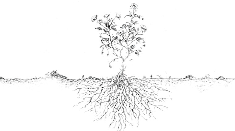 Growing Roots Comic Vinyl Car Decal Sticker – Waterproof & UV-Resistant 5.4