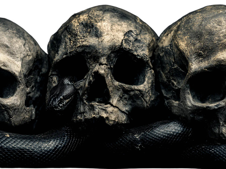 Creepy Skull Python Vinyl Car Decal Sticker – Waterproof & UV-Resistant 3.1466666666666665"