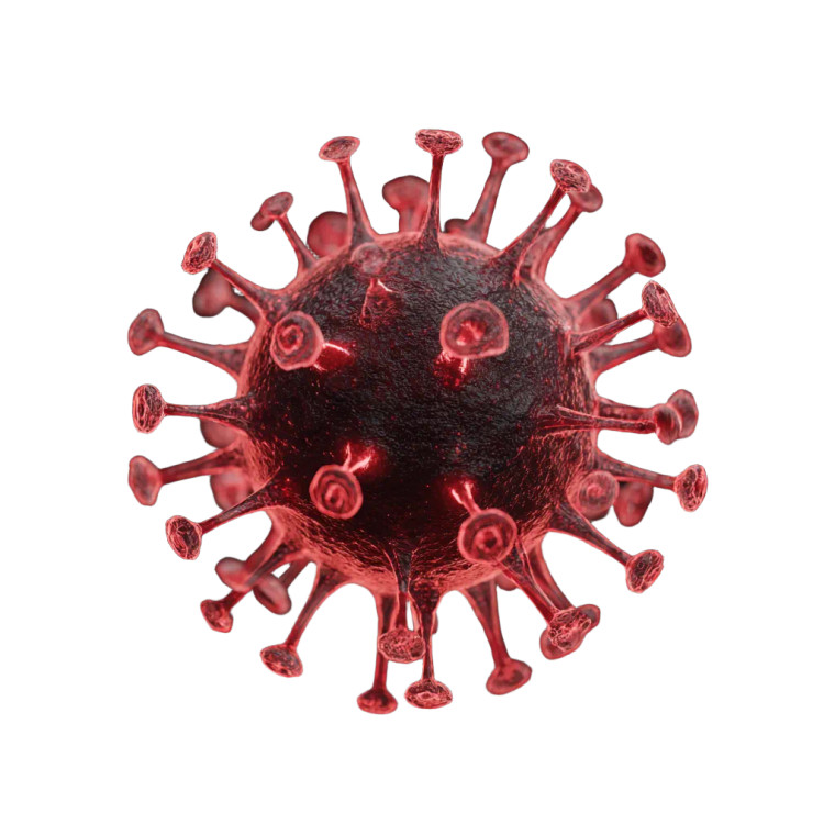 3D Virus Icon Vinyl Car Decal Sticker – Waterproof & UV-Resistant 3.4133333333333336"