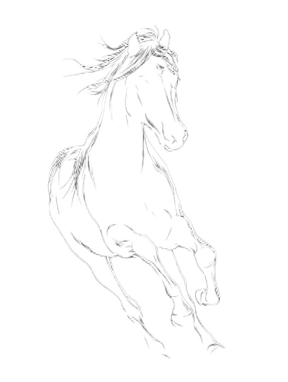 Wild Horse Silhouette Vinyl Car Decal Sticker – Waterproof & UV-Resistant 8.213333333333333"