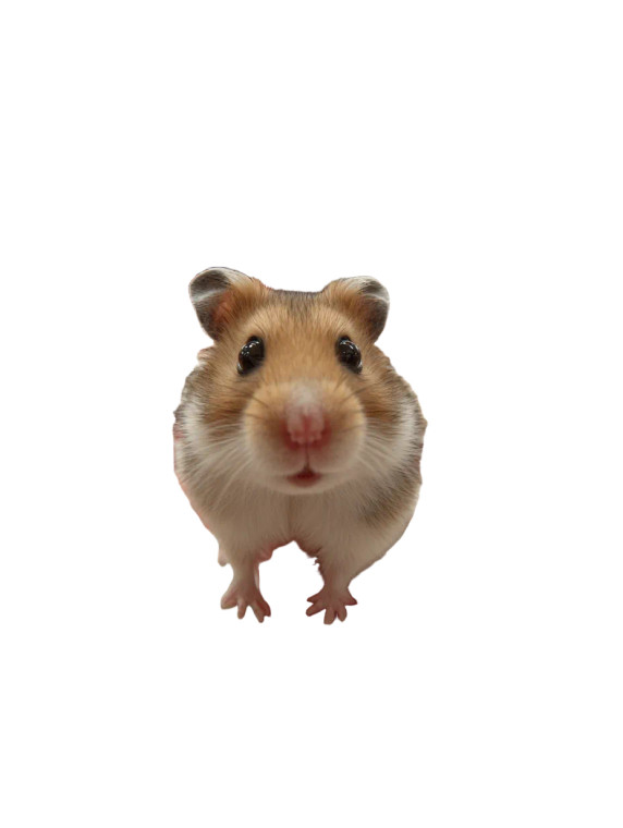 Cute Hamster Diner Vinyl Car Decal Sticker – Waterproof & UV-Resistant 4.1066666666666665"
