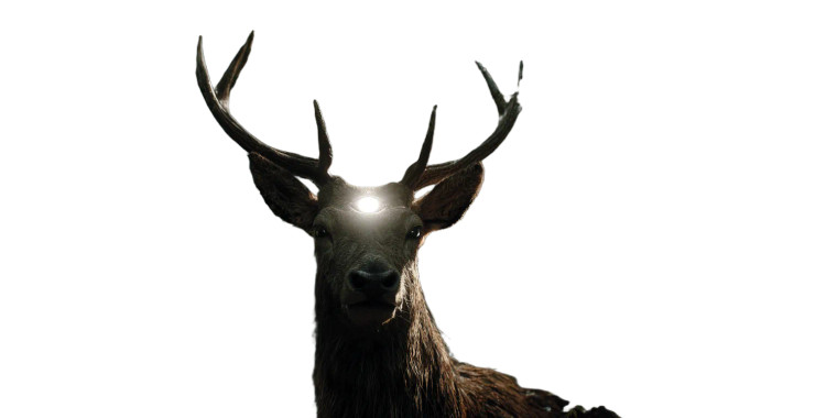 Demon Deer Vinyl Car Decal Sticker – Waterproof & UV-Resistant 5.12"