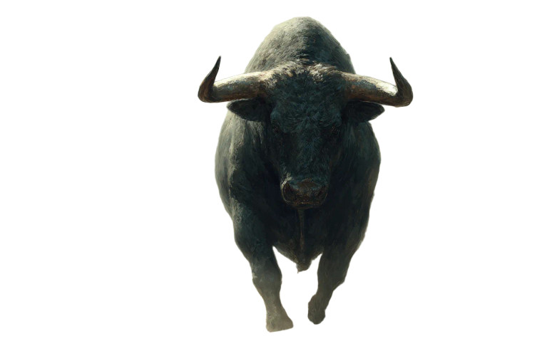 Angry Wild Bull Vinyl Car Decal Sticker – Waterproof & UV-Resistant 2.986666666666667"