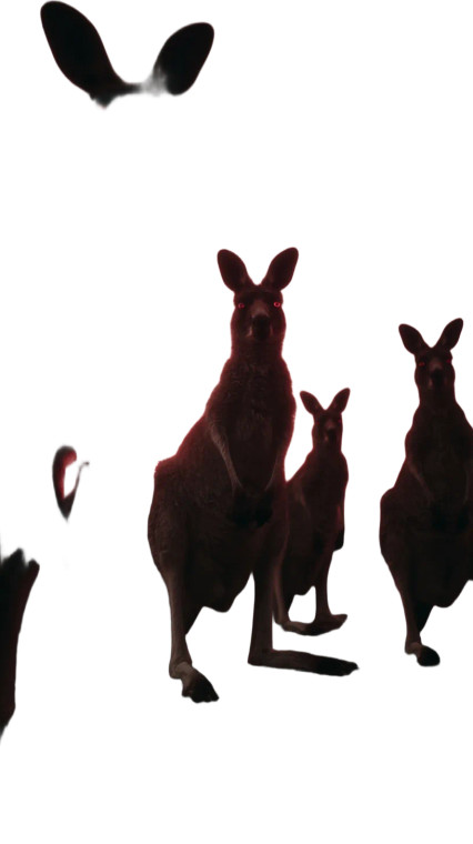 Ominous Kangaroo Pack Vinyl Car Decal Sticker – Waterproof & UV-Resistant 4.8533333333333335"