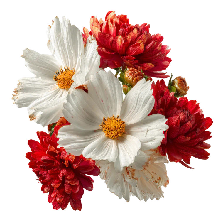 Flower Cluster Close-Up Vinyl Car Decal Sticker – Waterproof & UV-Resistant 6.826666666666667"