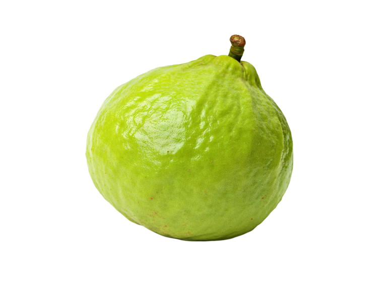 Single Guava Fruit Vinyl Car Decal Sticker – Waterproof & UV-Resistant 6.1866666666666665"