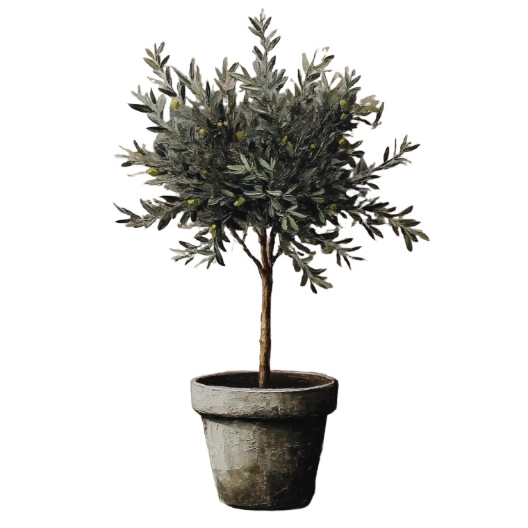 Vintage Olive Tree Vinyl Car Decal Sticker – Waterproof & UV-Resistant 6.826666666666667"