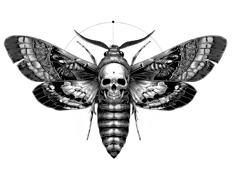 Death Moth V2 Vinyl Car Decal Sticker – Waterproof & UV-Resistant 6.1866666666666665"