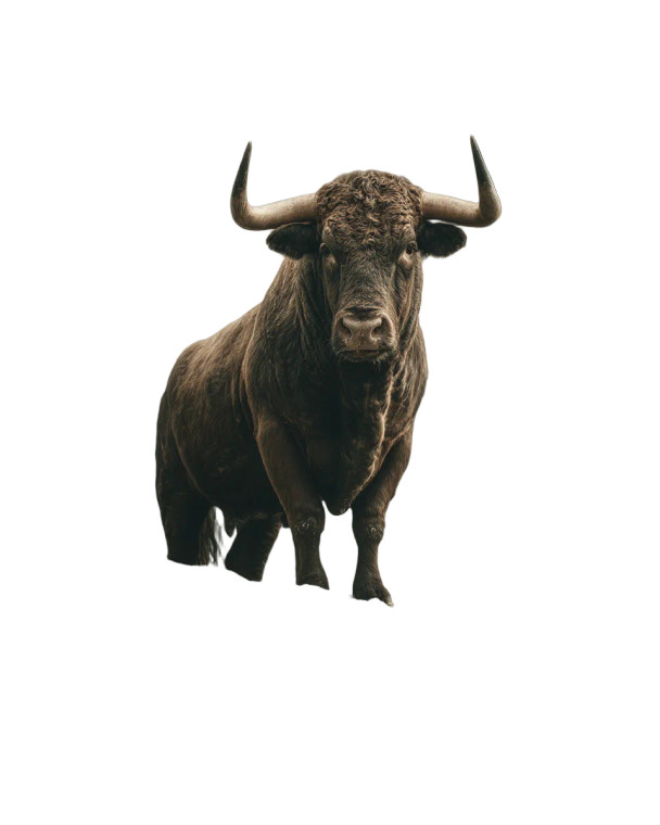 Proud Bull Vinyl Car Decal Sticker – Waterproof & UV-Resistant 4.0"