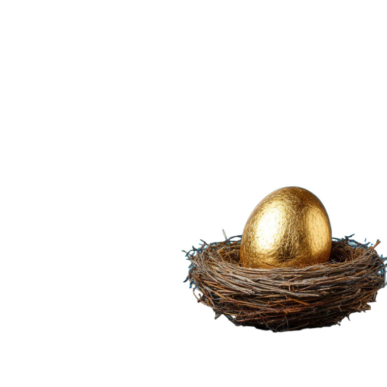 Golden Nest-Egg Vinyl Car Decal Sticker – Waterproof & UV-Resistant 6.826666666666667"