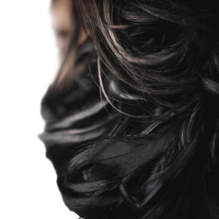 Feathers In Hair Vinyl Car Decal Sticker – Waterproof & UV-Resistant 6.826666666666667" Feathers In Hair Vinyl Car Decal Sticker – Waterproof & UV-Resistant 6.826666666666667"