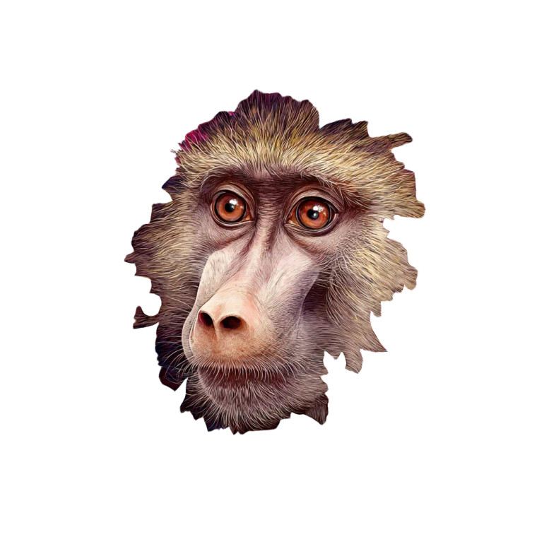 Cute Baboon Vinyl Car Decal Sticker – Waterproof & UV-Resistant 3.4133333333333336"