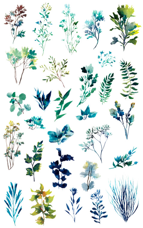 Watercolor Plants V3 Vinyl Car Decal Sticker – Waterproof & UV-Resistant 4.586666666666667"