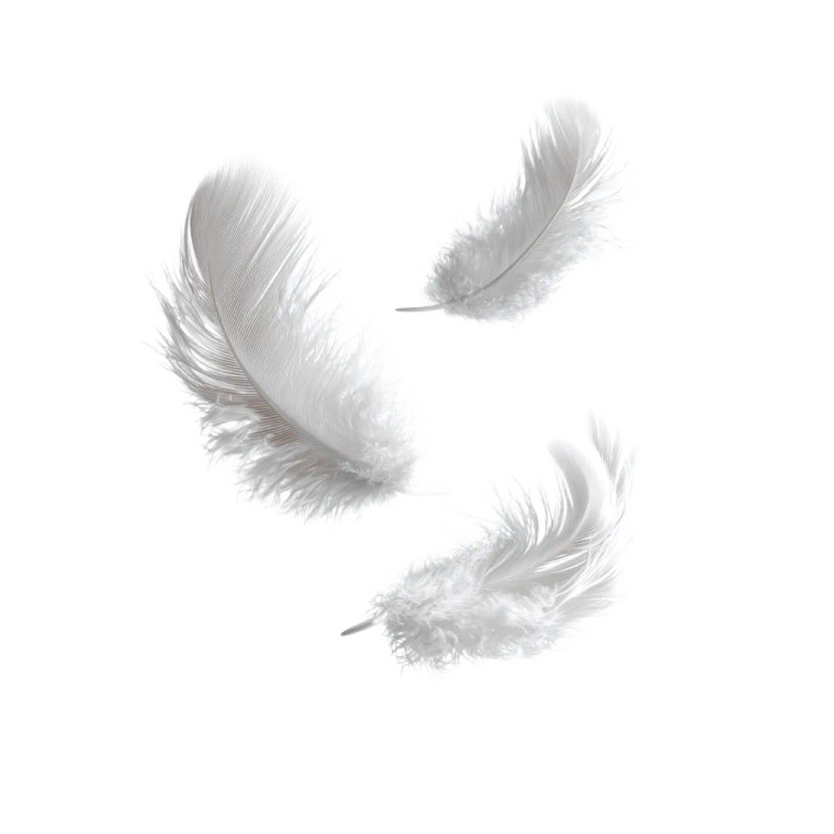 Falling White Feathers Vinyl Car Decal Sticker – Waterproof & UV-Resistant 3.4133333333333336"