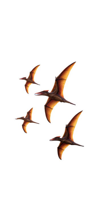 Soaring Pterosaurs Vinyl Car Decal Sticker – Waterproof & UV-Resistant 10.2