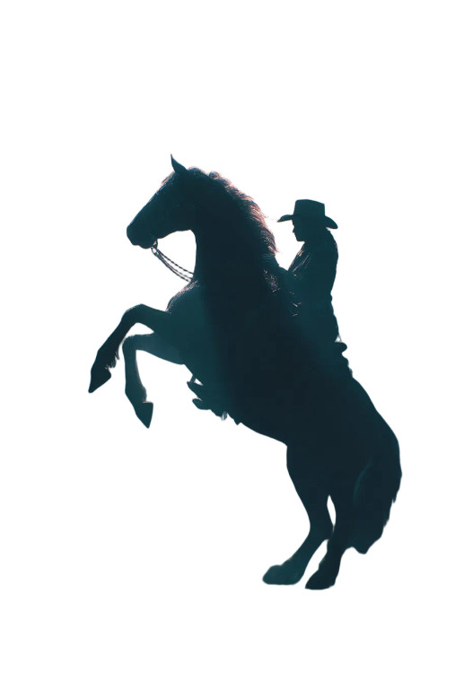 Dramatic Cowgirl Scene Vinyl Car Decal Sticker – Waterproof & UV-Resistant 4.4