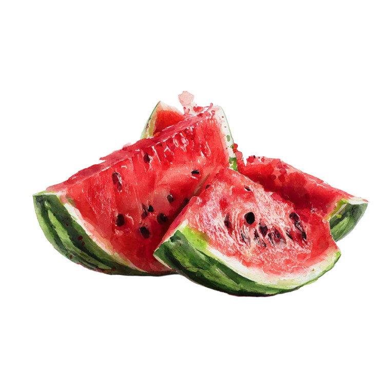 Juicy Watermelon Splashes Vinyl Car Decal Sticker – Waterproof & UV-Resistant 3.4133333333333336"