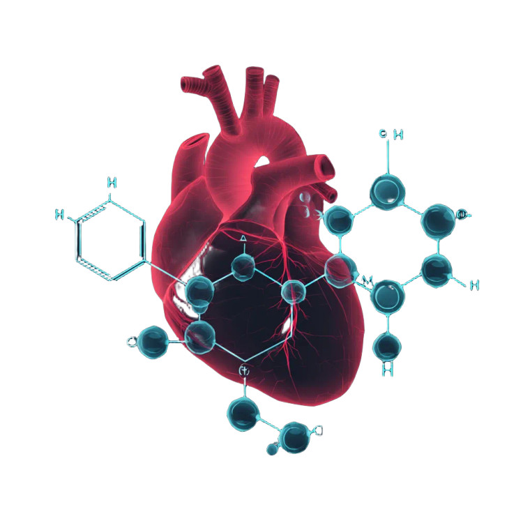 Heart Mitochondrion Logo Vinyl Car Decal Sticker – Waterproof & UV-Resistant 3.4133333333333336"