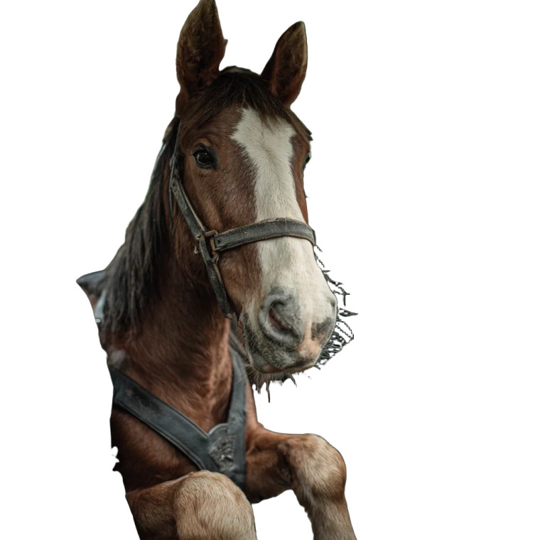 Horse Driving Tractor Vinyl Car Decal Sticker – Waterproof & UV-Resistant 3.4133333333333336"