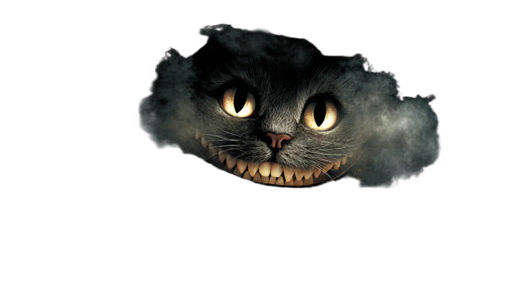 Mysterious Grinning Cat Vinyl Car Decal Sticker – Waterproof & UV-Resistant 2.72"