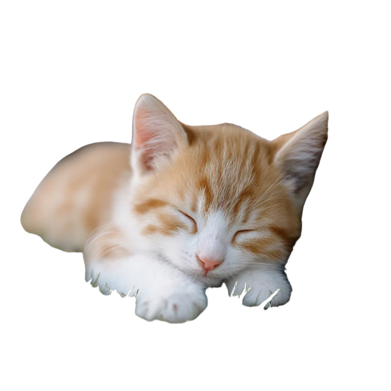Sleeping Cat V23 Vinyl Car Decal Sticker – Waterproof & UV-Resistant 3.4133333333333336"