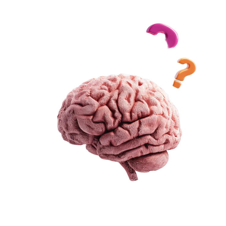 Cartoon Brain Vinyl Car Decal Sticker – Waterproof & UV-Resistant 3.4133333333333336"