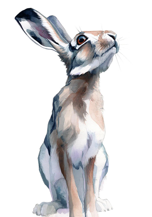 Cute Hare Vinyl Car Decal Sticker – Waterproof & UV-Resistant 4.32"