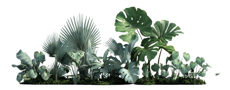 Tropical Plants V3 Vinyl Car Decal Sticker – Waterproof & UV-Resistant 4.586666666666667"