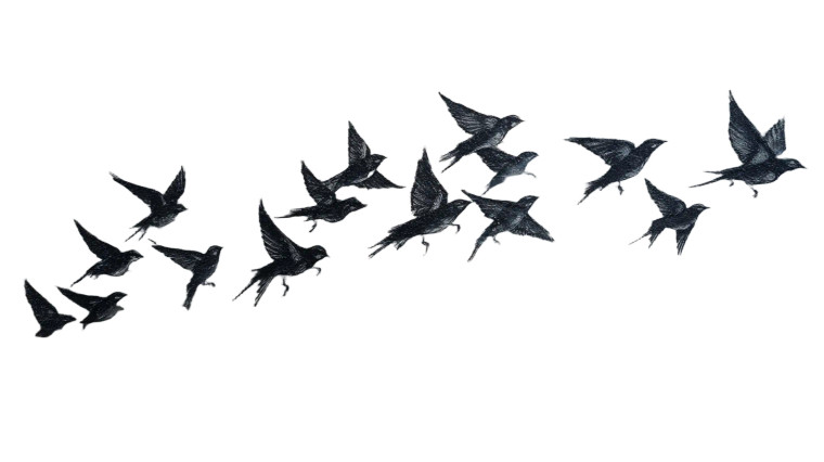 Flying Birds Stencil Vinyl Car Decal Sticker – Waterproof & UV-Resistant 2.72"