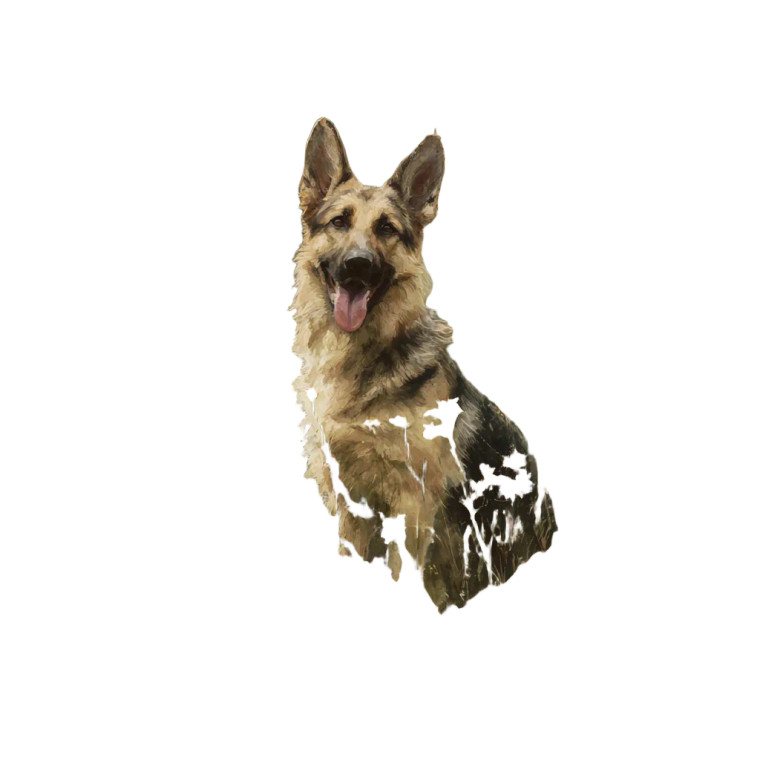 Happy German Shepherd V4 Vinyl Car Decal Sticker – Waterproof & UV-Resistant 3.4133333333333336"