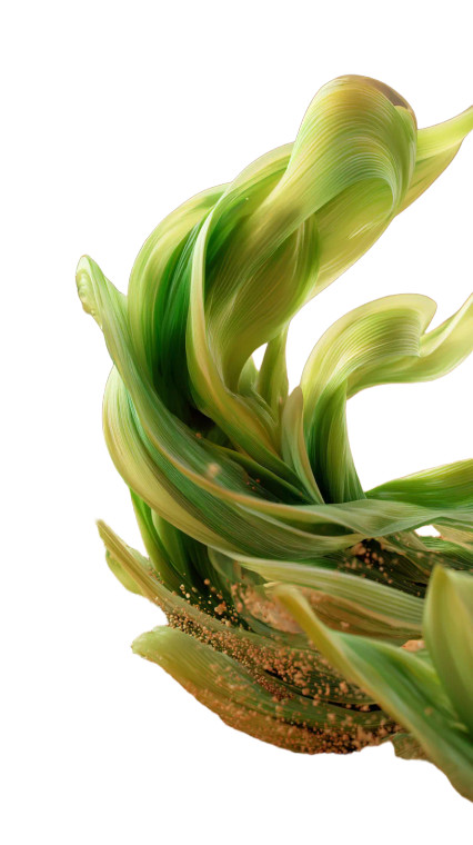 Floating Green Plants V2 Vinyl Car Decal Sticker – Waterproof & UV-Resistant 4.8533333333333335"