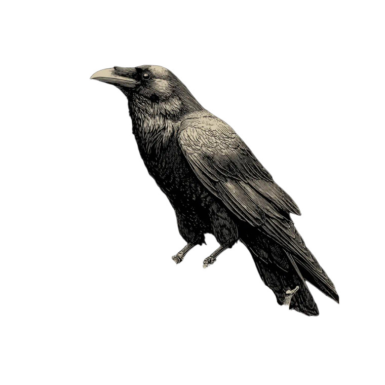 Raven On Branch V4 Vinyl Car Decal Sticker – Waterproof & UV-Resistant 6.826666666666667"