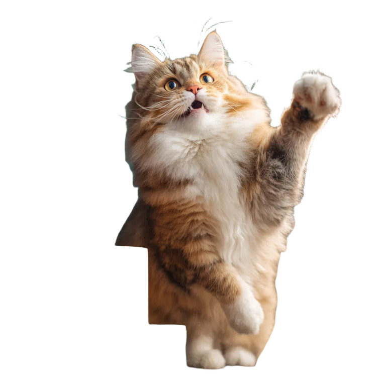Happy Fluffy Cat V3 Vinyl Car Decal Sticker – Waterproof & UV-Resistant 6.826666666666667"