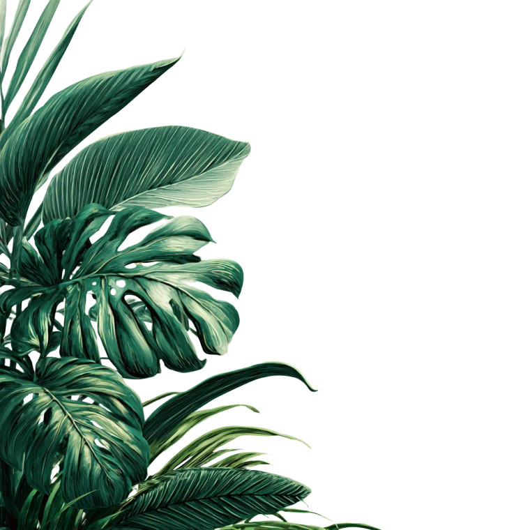 Jungle Leaves Vinyl Car Decal Sticker – Waterproof & UV-Resistant 6.826666666666667"
