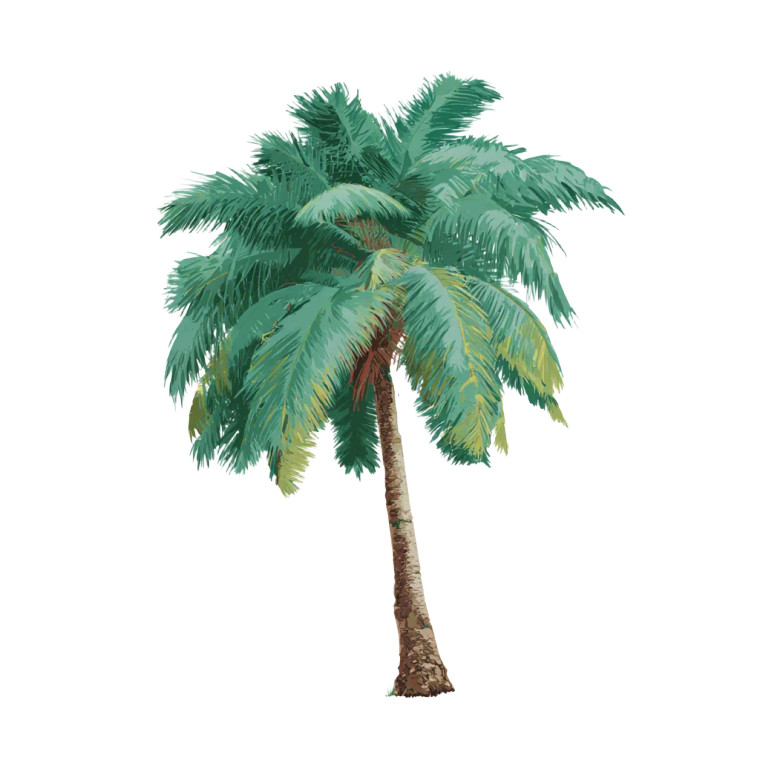 Cartoon Palm Tree Vinyl Car Decal Sticker – Waterproof & UV-Resistant 6.826666666666667"