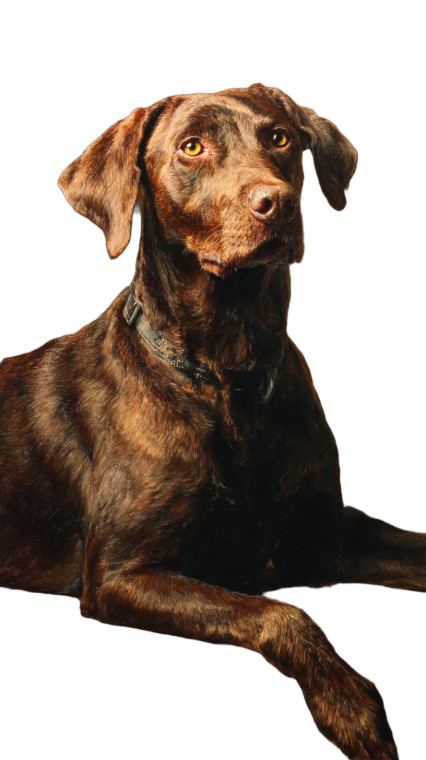 Brown Doberman Painting Vinyl Car Decal Sticker – Waterproof & UV-Resistant 4.8533333333333335"