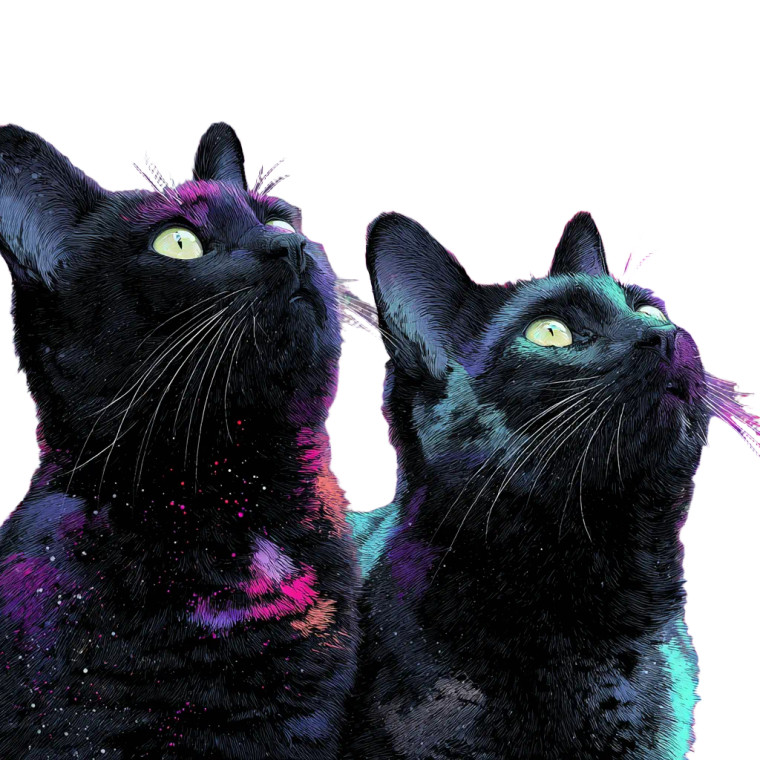Yokai Cats Galaxy Vinyl Car Decal Sticker – Waterproof & UV-Resistant 6.826666666666667"