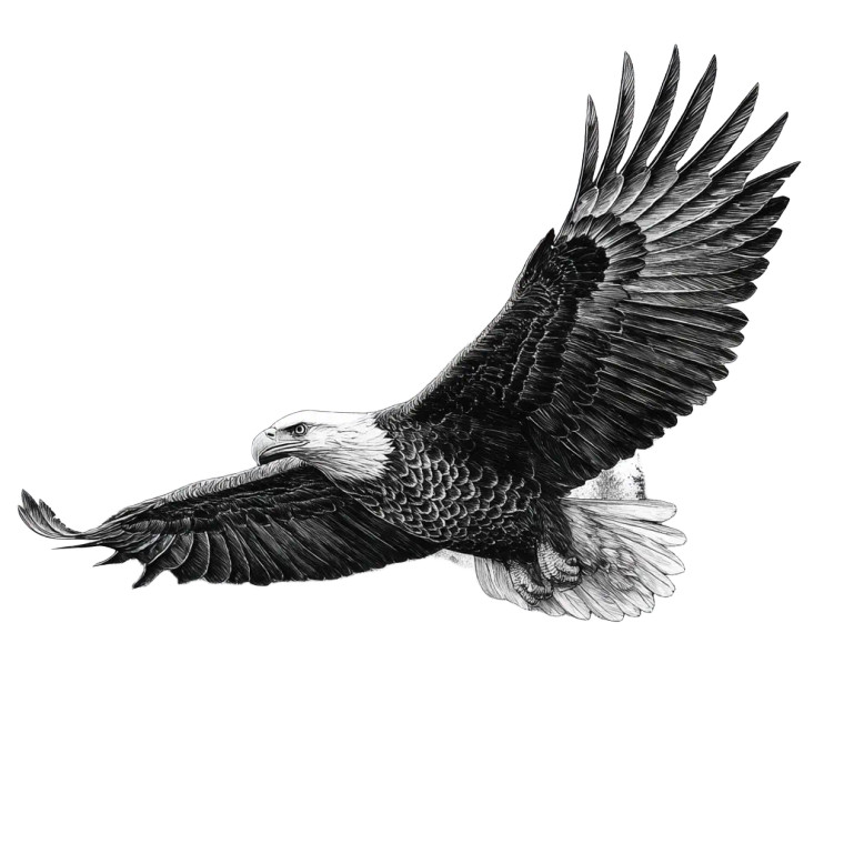 Eagle Flight Tattoo Vinyl Car Decal Sticker – Waterproof & UV-Resistant 3.4133333333333336"