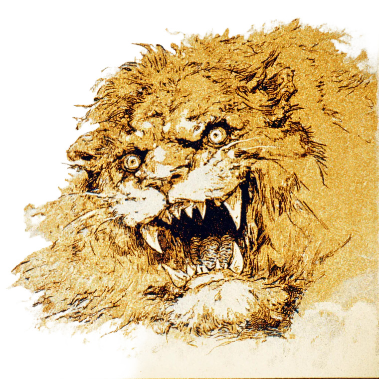 Scary Lion V2 Vinyl Car Decal Sticker – Waterproof & UV-Resistant 3.4133333333333336"