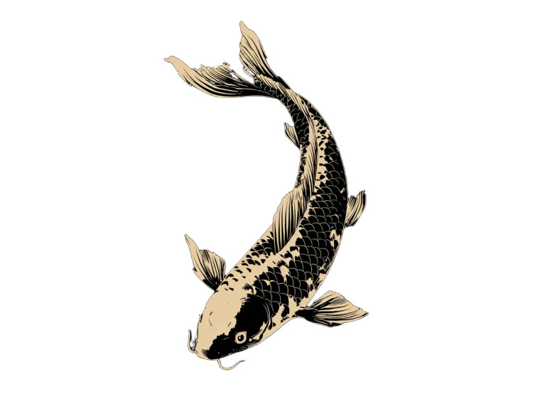 Japanese Koi Carp Vinyl Car Decal Sticker – Waterproof & UV-Resistant 6.1866666666666665"