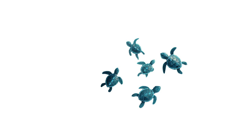 Baby Cartoon Turtles Vinyl Car Decal Sticker – Waterproof & UV-Resistant 2.72"